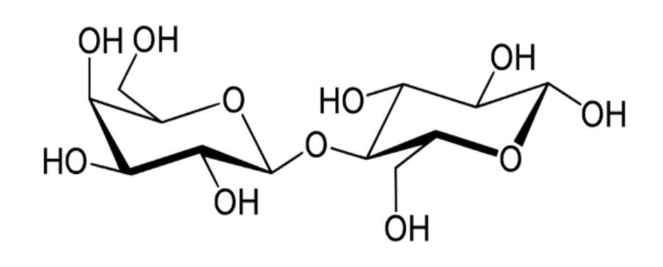 Image showing the chemical structure of lactose