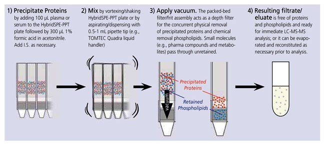 “In-well” Precipitation Procedure Using HybridSPE-PL 96-well Format