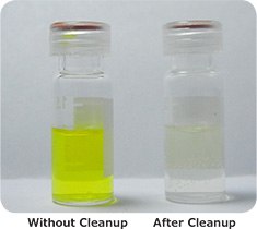 Turmeric Extracts