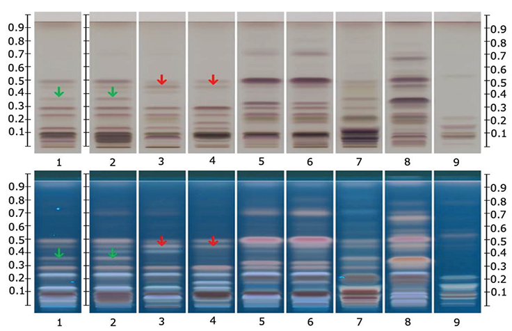 hptlc-chromatograms-under-uv-366-nm-method