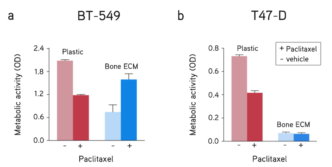 dECM Hydrogels utilized as a model of breast cancer metastasis to bone showed differential drug responses of breast cancer subtypes compared to culturing on plastic (no ECM). Response to drug treatment (paclitaxel, 5 µM) and vehicle (DMSO) of (A) BT-549 cells and (B) T47-D cells for 48 hours.