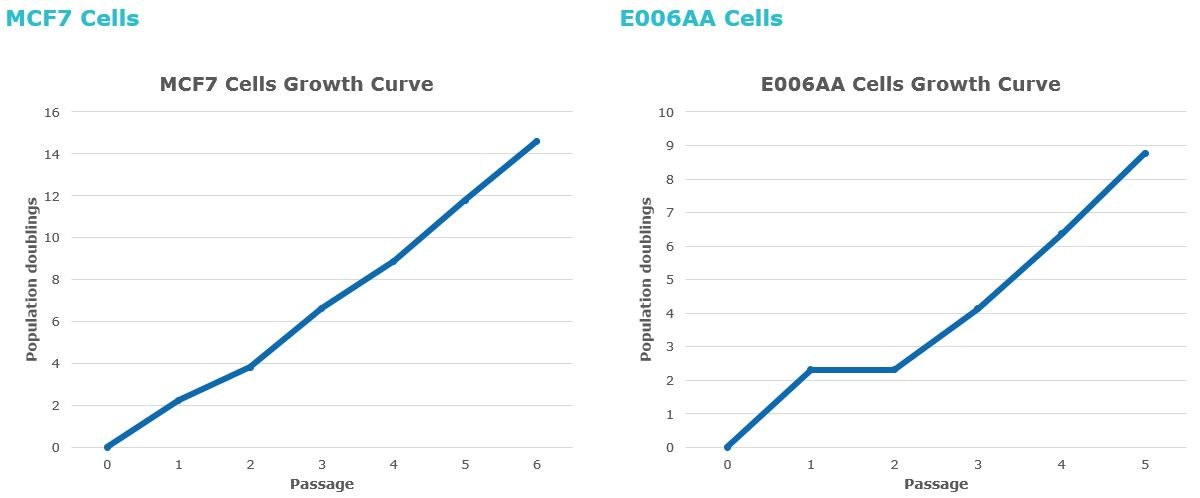 Stable Growth of Cancer Cells in 3dGRO™ Spheroid Medium