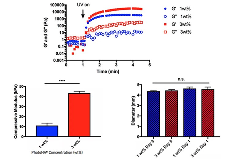 Physical properties of photocrosslinked hydrogels