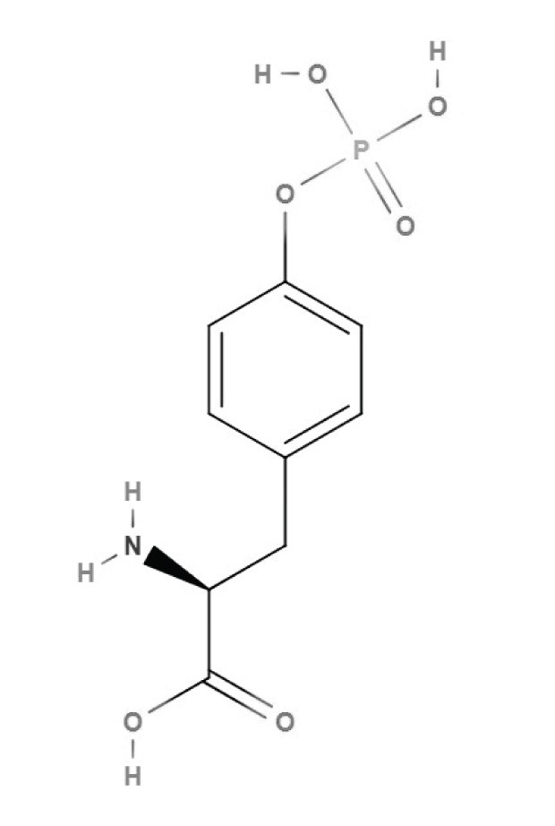 Chemical structure of phosphotyrosine Keywords: phosphotyrosine, tyrosine, amino acids