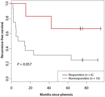 Increased tumor-specific T cell proliferative responses