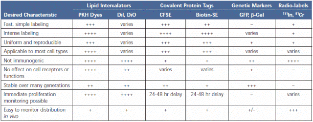 Characteristics of Cell Tracking Reagents