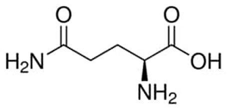 Chemical structure of L-glutamine