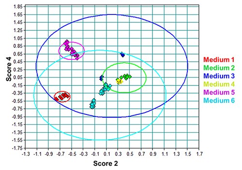 PCA scores plot of the DPM lot spectra from all media evaluated. PCA scores plot of the DPM lot spectra from all media evaluated.