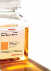 FBS (fetal bovine serum) free of adventitious viral agents 