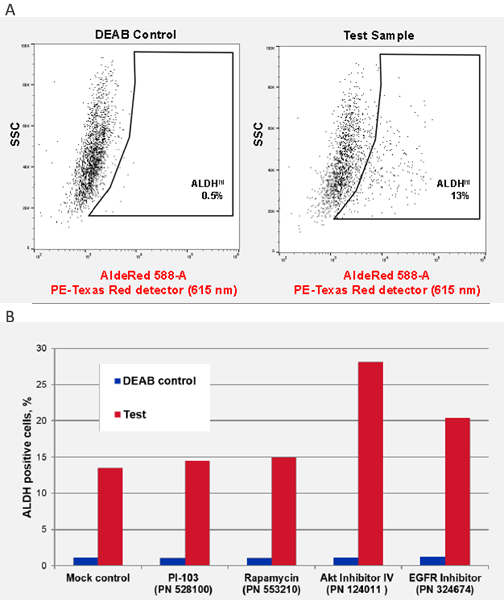 ALDH CSC identification in Head and Neck Squamous Carcinoma cell lines