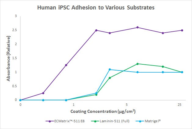 Human iPSC Adhension to Various Substrates