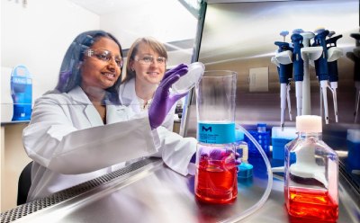 Scientists performing sterile filtration of cell culture media using Stericup® filters in the cell culture hood Scientists performing sterile filtration of cell culture media using Stericup® filters in the cell culture hood