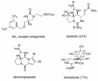 C–H Amination C–H Amination