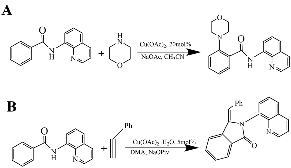 Two distinct sections labeled A and B, illustrating chemical reactions involving copper acetate (Cu(OAc)2) as a catalyst for C–H functionalization. In section A, the left side shows two reactants: one is a complex structure featuring an aromatic ring with a carbonyl group (C=O) and an amine group (–NH), connected to a second aromatic ring containing a nitrogen atom. The second reactant is a simple aromatic compound with a nitrogen atom and a hydroxyl group (–OH). An arrow points to the right, indicating the reaction's progress, with the catalyst Cu(OAc)2 noted as 20 mol% and sodium acetate (NaOAc) in acetonitrile (CH3CN) listed below the arrow. The product, depicted on the right, is a new structure that combines elements from both reactants, showing additional connectivity between the nitrogen and oxygen atoms. Section B features another reaction setup, where the left side displays a similar initial structure as in section A, paired with a phenyl group (Ph) and an alkyne (a carbon-carbon triple bond). Again, an arrow indicates the reaction's progression, noting Cu(OAc)2 with a lower catalyst concentration of 5 mol%, along with water (H2O), dimethylacetamide (DMA), and sodium pivalate (NaOPiv) as reaction conditions. The resulting product on the right showcases a modified structure that incorporates the phenyl group, emphasizing the functionalization achieved. The entire image is rendered in black on a white background, ensuring clarity and contrast for the chemical structures and their transformations.