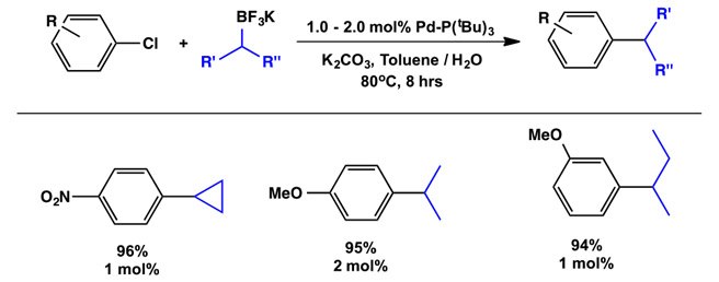 1-tBu-Indenyl Supported Palladium Precatalysts for Cross-Coupling Alkyl Trifluoroboronate Salts in Suzuki-Miyaura Reactions using Pd(1-tBu-Indenyl)(P{tBu}3)(Cl)