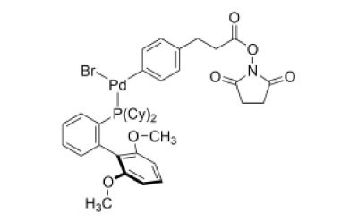 Structure for P15