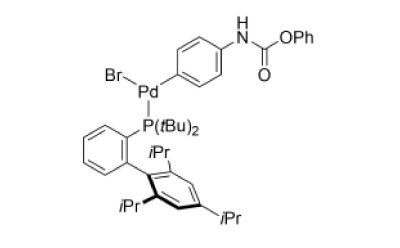 Structure for P16