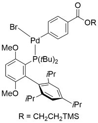 Structure of P3