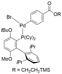 Structure for P9