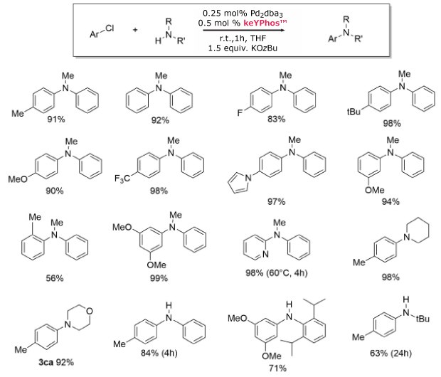 A reaction scheme illustrating the coupling of an aryl chloride (ArCl) with an amine (H2N-R') using 0.25 mol% Pd2(dba)3 and 0.5 mol% keYPhos in THF at room temperature for 1 hour, with 1.5 equivalents of KOtBu. Below the reaction, various products are shown, each with their respective yields indicated as percentages. The structures include different substituents on the aromatic rings, such as methyl (Me), fluoro (F), trifluoromethyl (F3C), methoxy (MeO), and tert-butyl (tBu). The yields range from 56% to 99%.