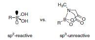 Comparison of sp2 and sp3-hybridized boron species Comparison of sp2 and sp3-hybridized boron species