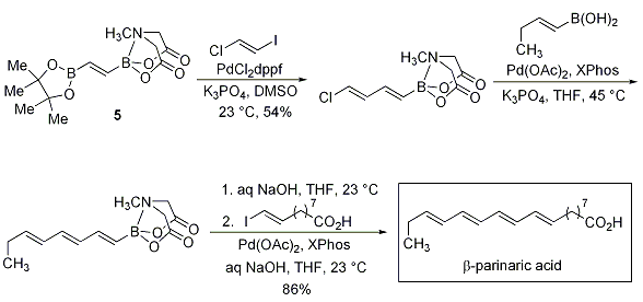 MIDA Scheme 6