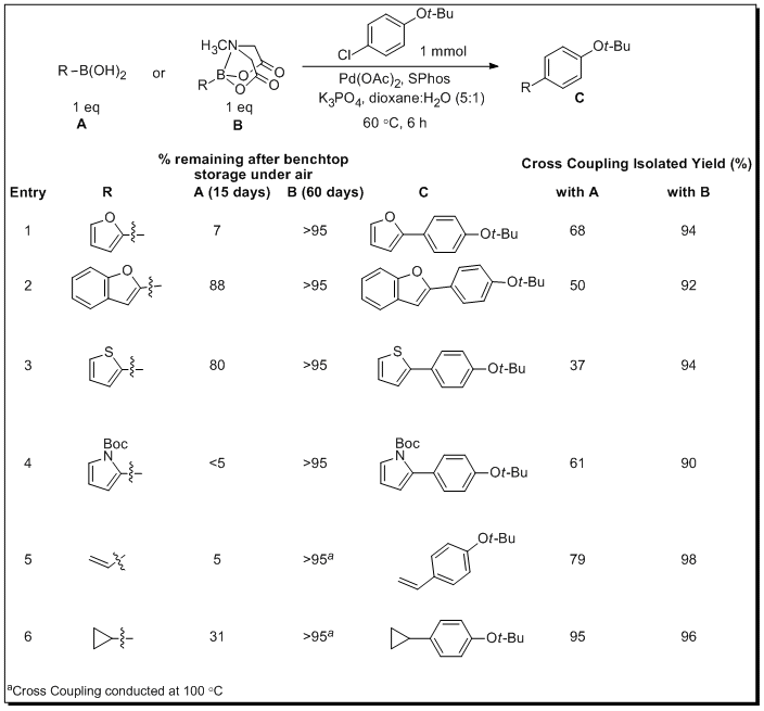 Comparison of Benchtop Stability and Coupling Efficiency of Boronic Acids and MIDA Boronates