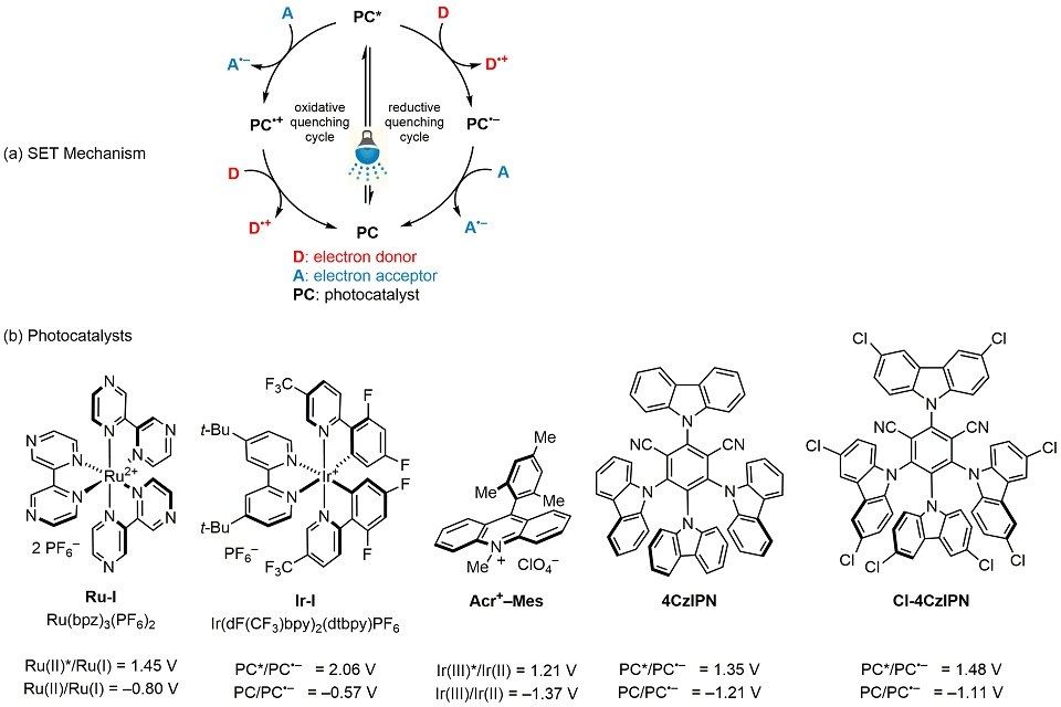 Single-Electron Transfer (SET) Mechanism. (b) Popular Oxidizer Photocatalysts An illustration of single-electron transfer mechanism pathway and chemical structures of commonly used oxidizer photocatalysts