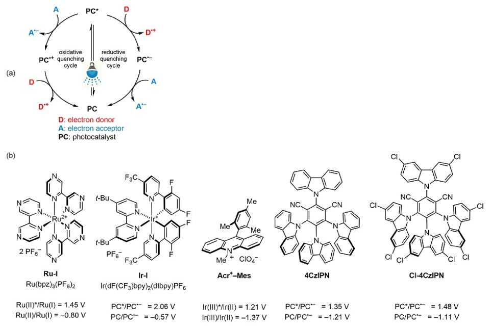 (a) Single-Electron Transfer (SET) Mechanism. (b) Popular Oxidizer Photocatalysts. (Ref. 1) Top is the cycle representing the Single-Electron Transfer (SET) Mechanism of photoredox catalysis and below are the chemicals structures of popular oxidizer photocatalysts (from left to right), Ru(bpz)3(PF6)2, Ir(dF(CF3)ppy)2(dtbpy)PF6, Fukuzumi’s acridinium salt (Acr+–Mes), 4CzIPN, and Cl-4CzIPN