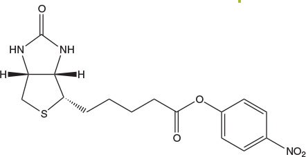 Biotin-ONp