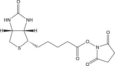 Biotin-OSu