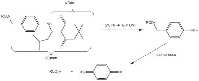 removal-of-dmab