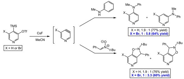 Pyridyne precursors Pyridyne precursors