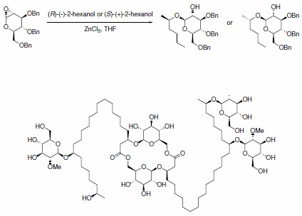 hexanol hexanol