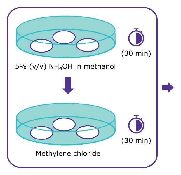 Cleaning method used for air monitoring of PFAS using OTM-45 Workflow diagram showing cleaning of filters by soaking filters in 5% volume per volume ammonium hydroxide in methanol for 30 minutes, followed by soaking filters in methylene chloride for 30 minutes.