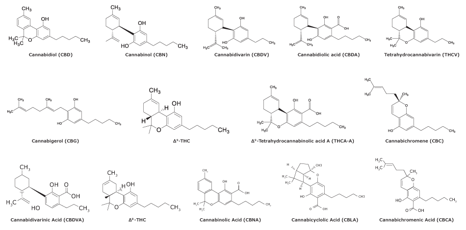 Chemical structures of fourteen cannabinoids Chemical structures of fourteen cannabinoids used in the study to analyze cannabinoids in cannabis