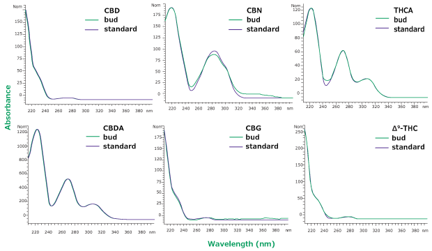 An overlay of UV spectra for hemp bud sample (Red) and standard solution (blue) at same retention time for 6 cannabinoids used in the study An overlay of UV spectra for hemp bud sample (Red) and standard solution (blue) at same retention time for 6 cannabinoids CBD, CBG, CBDA, CBN, ∆9-THC, and THCA