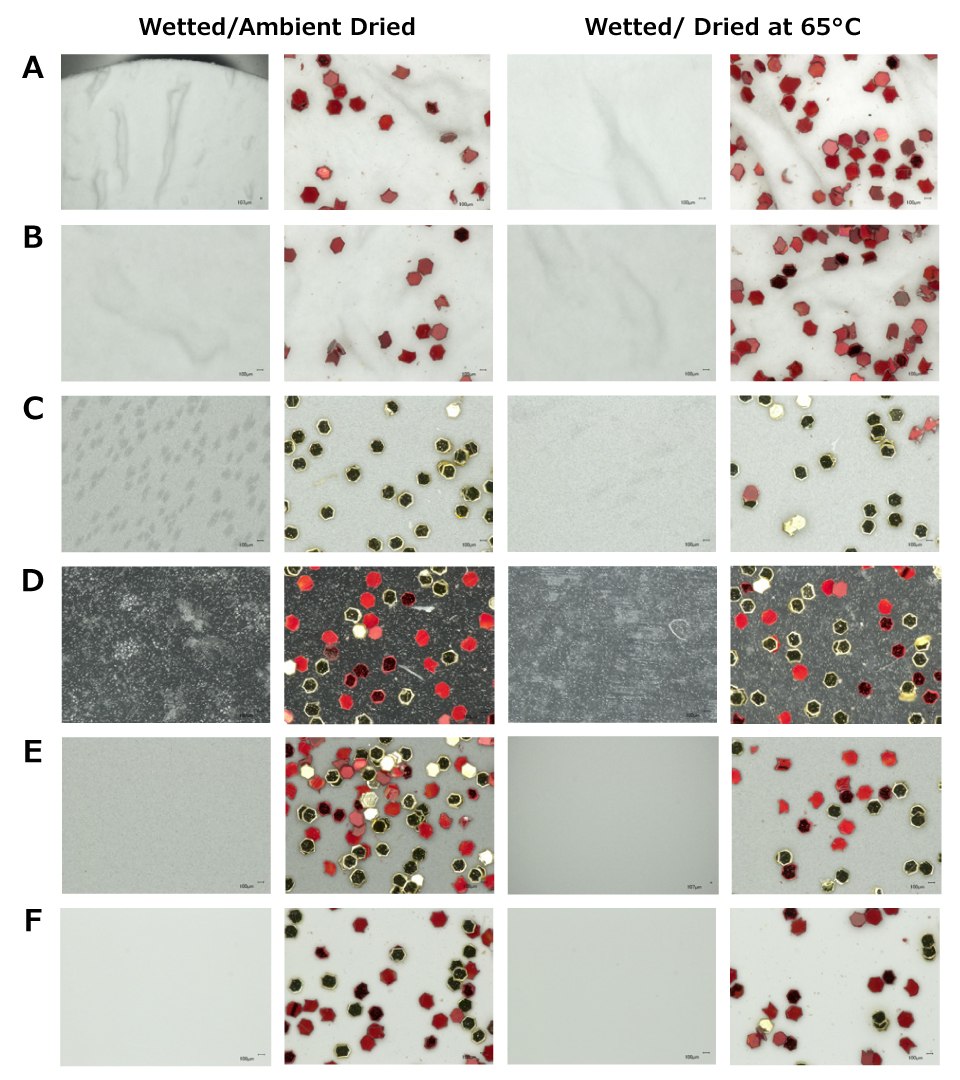 Comparison of Filters for Microplastics Analysis (100X visualization) Microscopic images of microplastics at 100X magnification on six different filter types