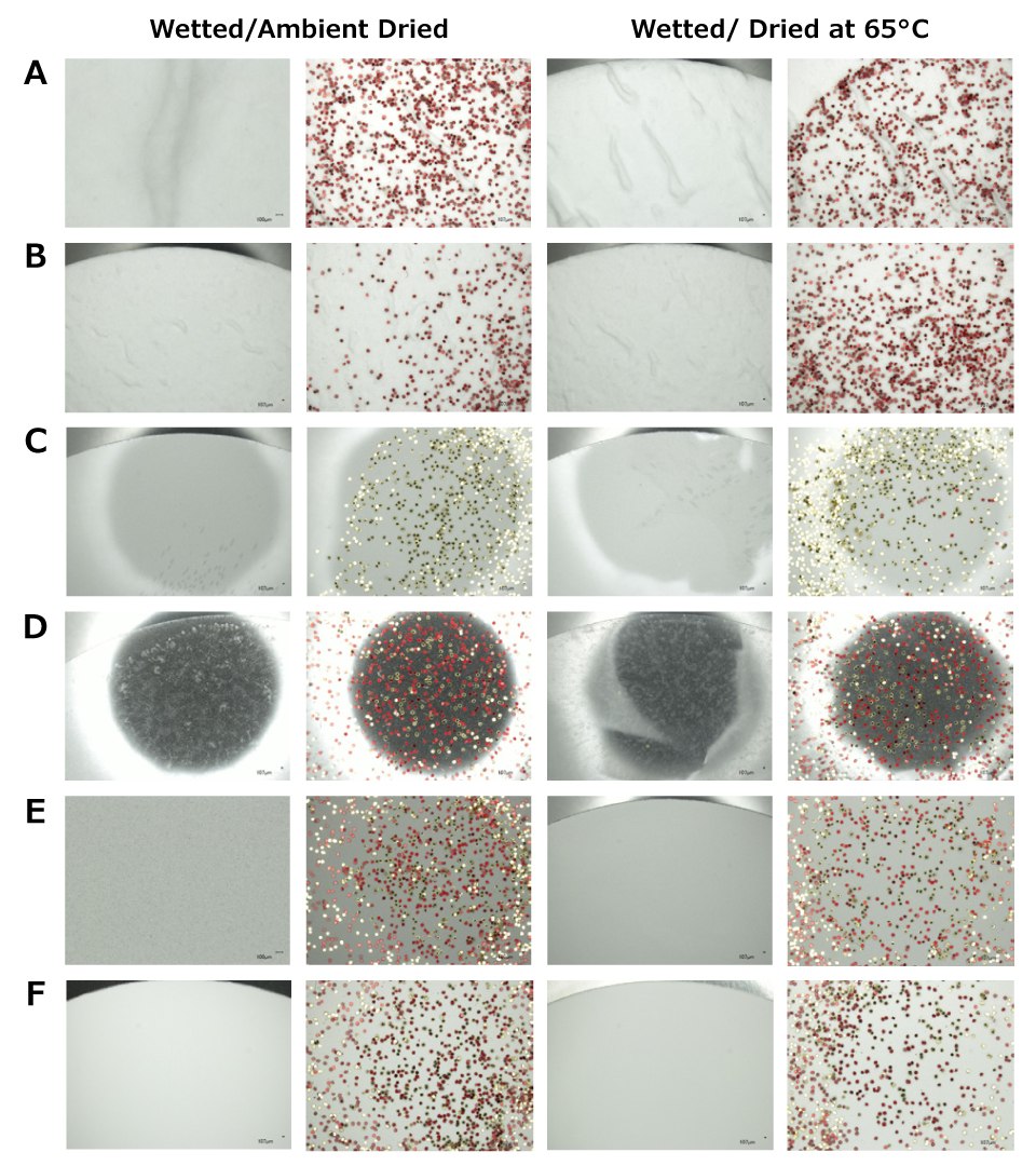Comparison of Filters for Microplastics Analysis (20X visualization) Microscopic images of microplastics at 20X magnification on six different filter types