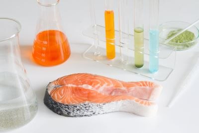 A raw salmon fillet on a white surface surrounded by scientific glassware containing substances of different colors A raw salmon fillet on a white surface surrounded by scientific glassware containing substances of different colors