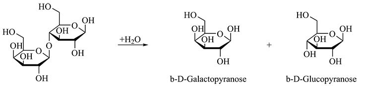 Lactose is composed of the monosaccharides galactose and glucose.