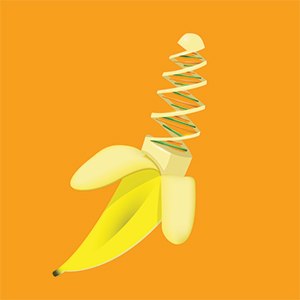banana-helix banana-helix