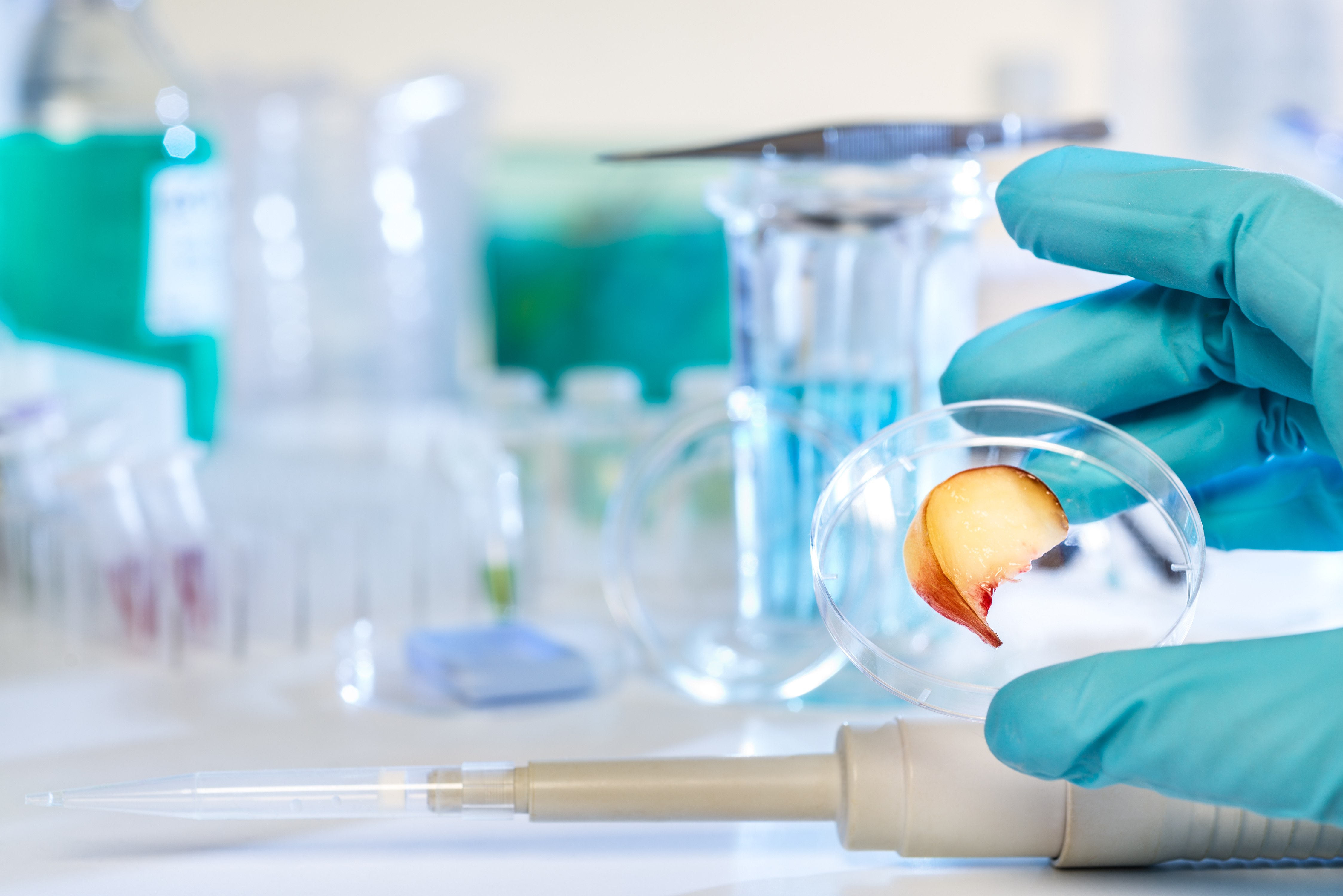 Biotechnology GMO Whitepaper