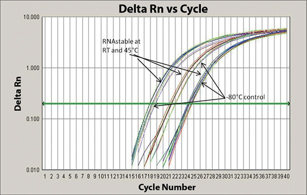 One-Step RT-PCR results of stored RNA samples in RNAstable One-Step RT-PCR results of stored RNA samples in RNAstable at room temperature and 45°C, versus storage at -80°C (control) quantified using the 18S rRNA gene