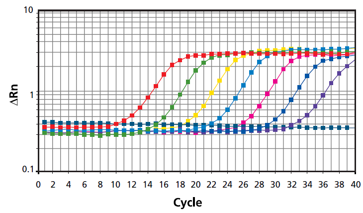 Quantitative PCR (qPCR) was performed using SYBR Green fluorescent dye and 10-fold dilutions of template.