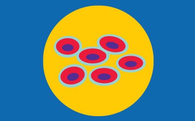 CHOOSE A CELL LINE FOR YOUR SCREEN スクリーニング対象の細胞株の選択