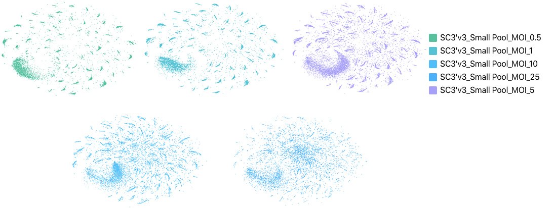 clustering-crispr-guides Monitoring multiple viral transductions at single cell resolution