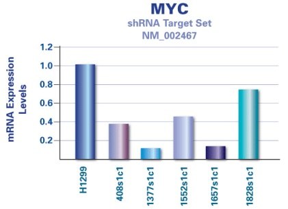 Five individual clones from MISSION<sup>®</sup> shRNA Target Set NM_002467 were co-transfected with a lentivirus packaging plasmid into HEK 293T cells. The resulting lentiviral particles were used to infect the human lung cancer cell line, H1299. 24 hours post-infection, 2.5 mg/mL of puromycin was added to select for infected cells. Infection efficiency was approximately 95%. 72 hours post-selection, cells were harvested. C-MYC message RNA level was detected by real-time PCR. Actin mRNA was used as an internal control. MISSION<sup>®</sup> shRNA Target Set