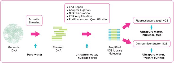 NGS workflow and specific water quality requirements. NGS workflow and specific water quality requirements