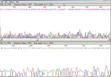 Sequence analysis Sequence analysis